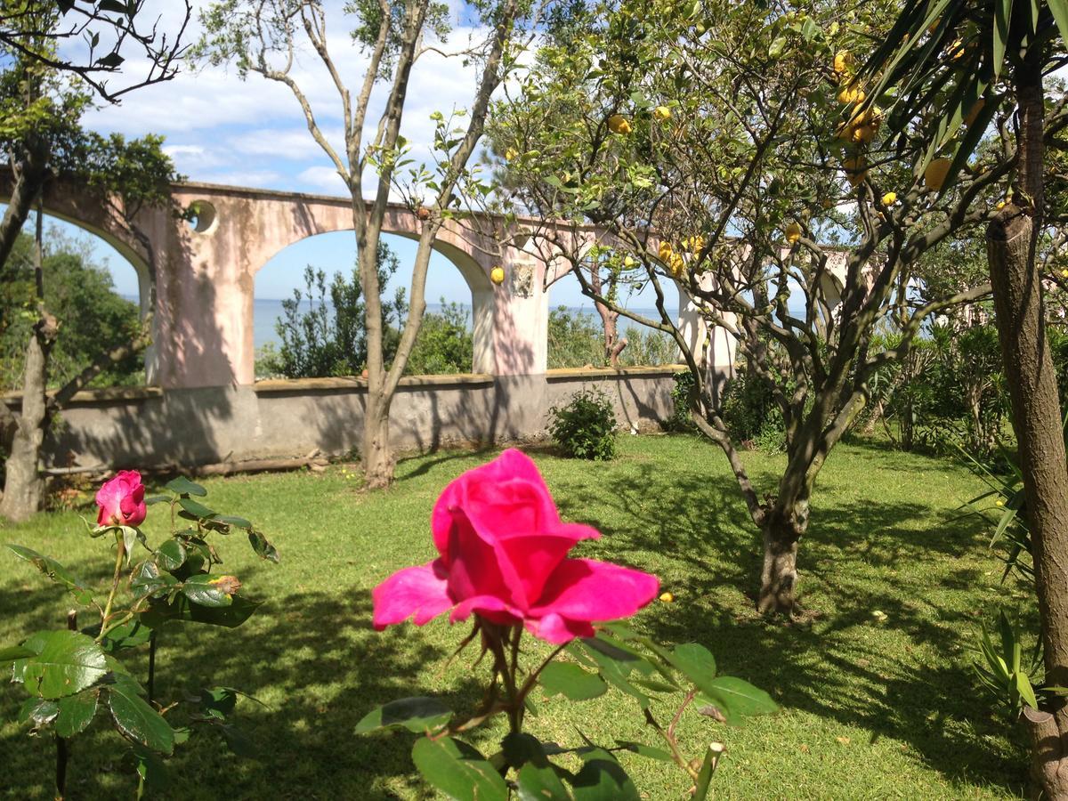 Апарт готель La Rosa Dei Venti Прочида Екстер'єр фото
